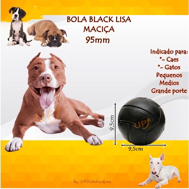 Jogos Do Cão De Bull Terrier Do Inglês Com Uma Bola Imagem de