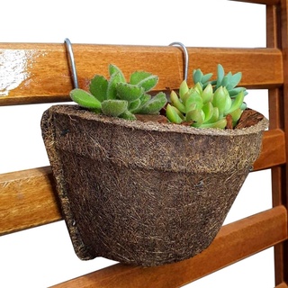 Meio Vaso de Parede Nº10 Fibra de Coco Suculentas e Plantas