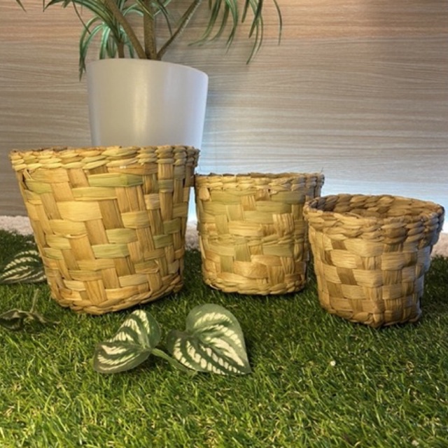 Kit com 3 cachepot de palha de taboa