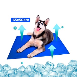 Tapete Refrescante Gelado Pet Cães E Gatos