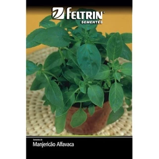 Sementes de Manjericão Alfavaca ( Verde ) - Feltrin Sementes