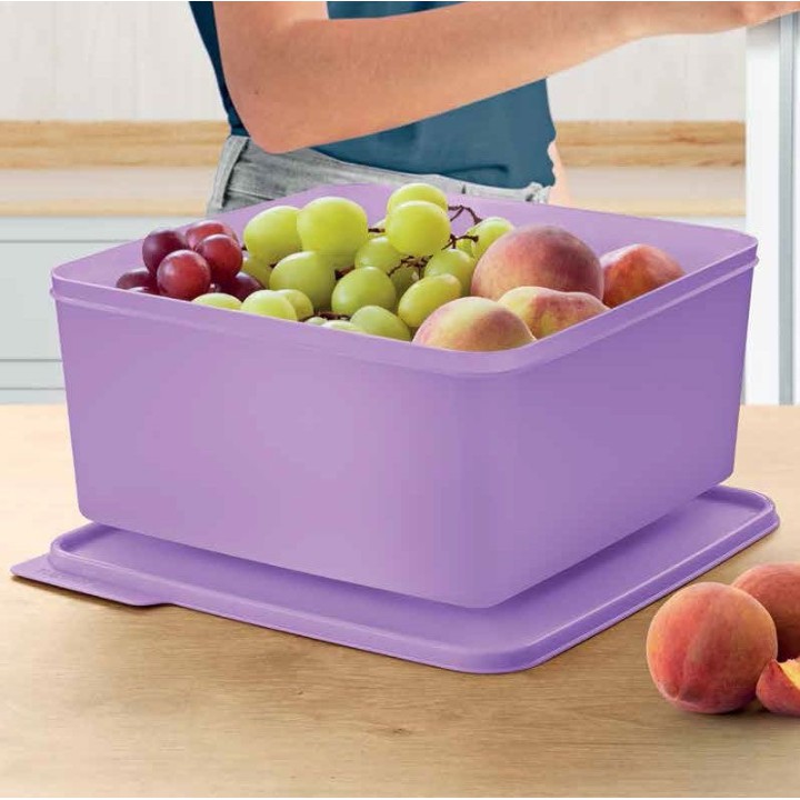 Basic line Tupperware chicle 5 litros | Shopee Brasil