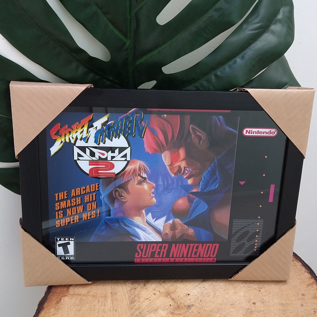 Quadro Decorativo com moldura Street Fighter Alpha Ryu Akuma