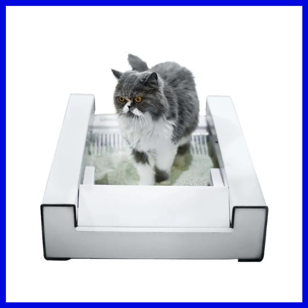 Caixa de Areia para Gatos: A Melhor Opção Aqui  Luteruel Pet - PetShop -  Acessórios Pet - Luteruel