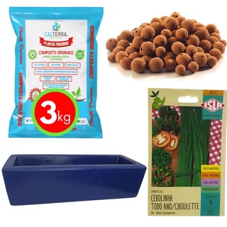 Kit Horta Plantio Fácil de Cebolinha e Jardineira Azul