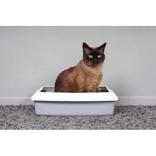 caixa de areia para gato em Promoção na Shopee Brasil 2023