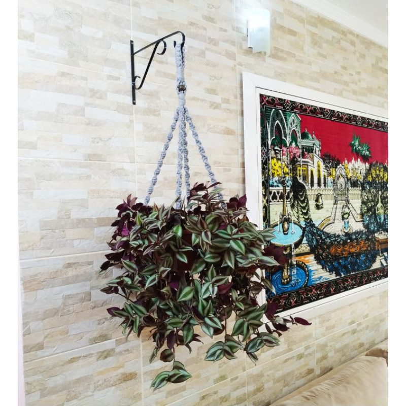 Suporte mão francesa para pendurar plantas e flores na parede na cor ...
