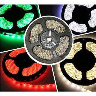 Fita Led Branco Frio ou Branco Quente 3528 5M Dupla Face Com Fonte