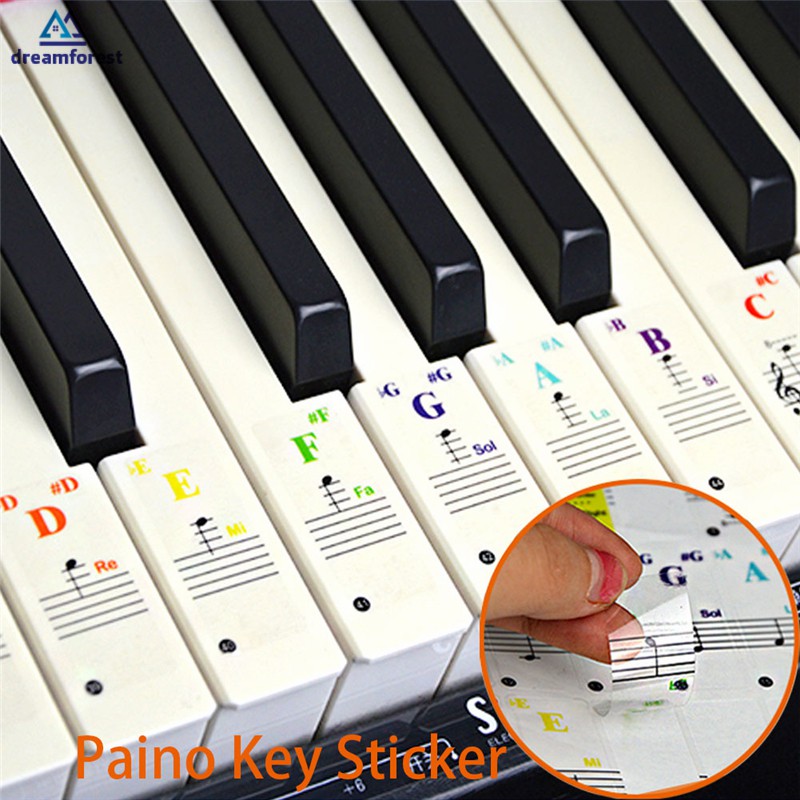 61/88 teclas de teclado de piano adesivos de silicone removível teclas de  piano etiquetas de nota para iniciantes conjunto completo piano espectro  adesivos - AliExpress