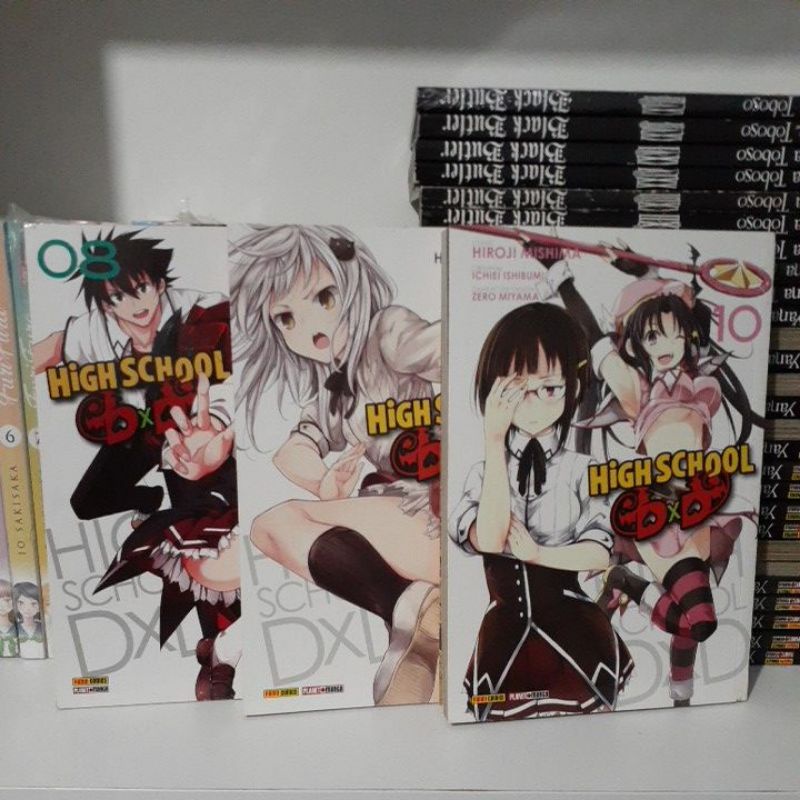 Light Novel Thursday: High School DxD Volume 10