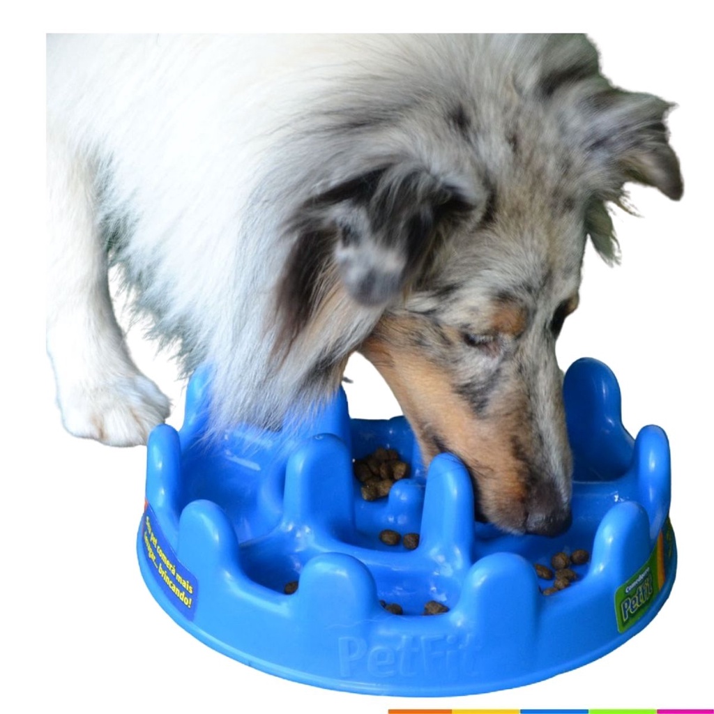 Labirinto Pet Games: o brinquedo-comedouro que estimula cães
