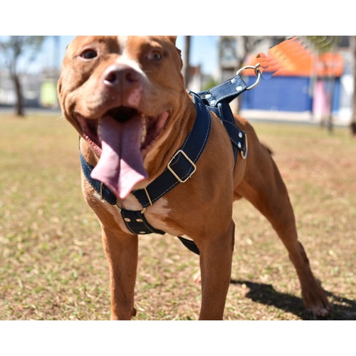 Peitoral Tração Treinamento Cachorro Grande Porte Pit Bull