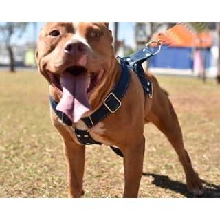 Peitoral Tração Treinamento Cachorro Grande Porte Pit Bull