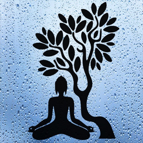 Yoga e Surf: Guia Completo e Onde Comprar | BuscaProdutos