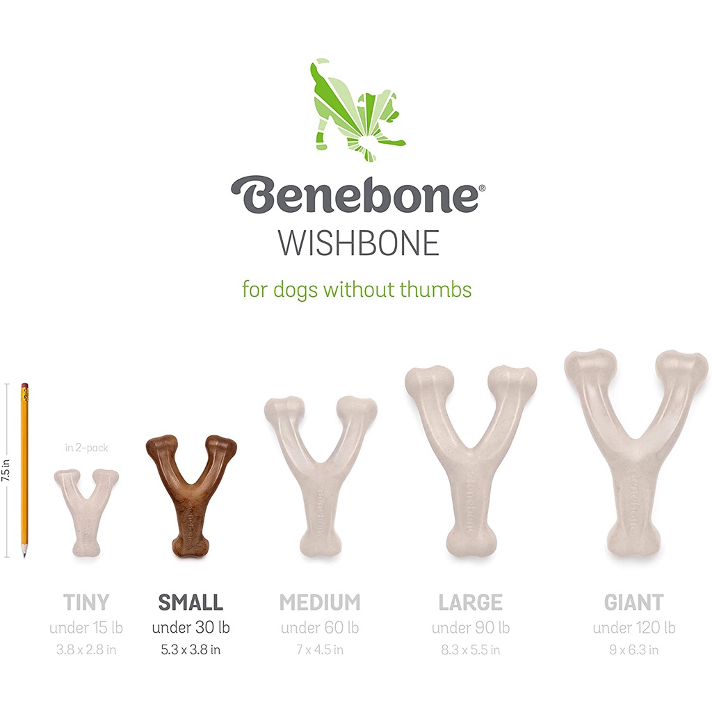 Benebone Wishbone | Shopee Brasil