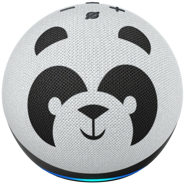 b7w64e echo dot