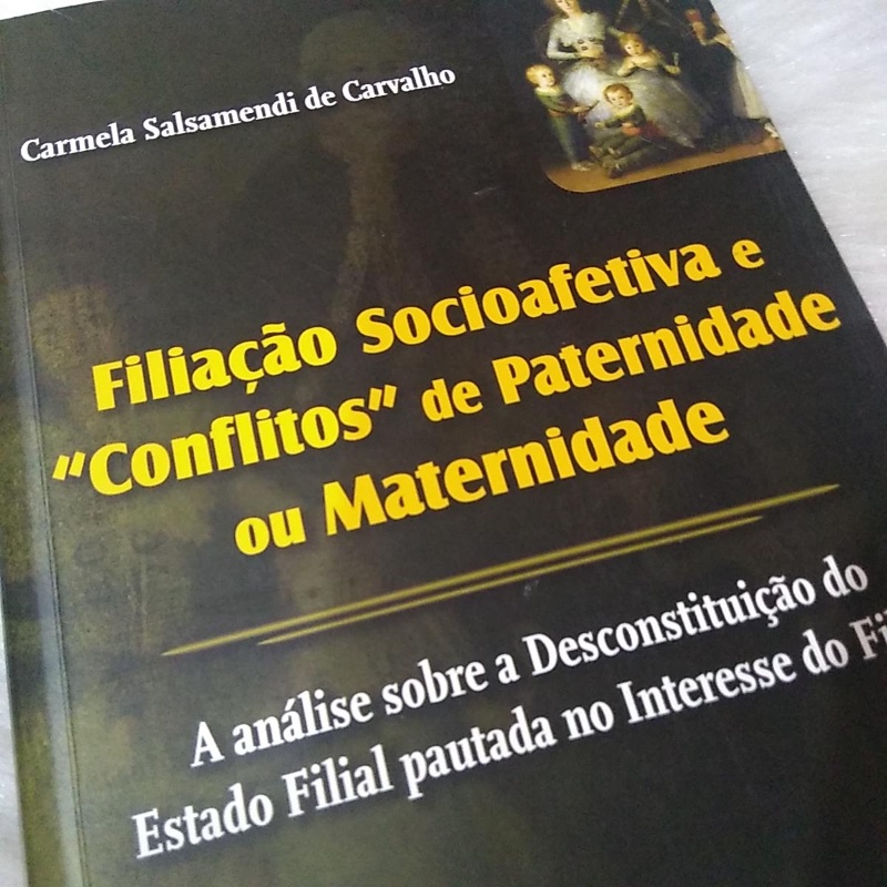 Livro De Direito Filiação Socioafetiva E Conflitos De Paternidade Ou ...