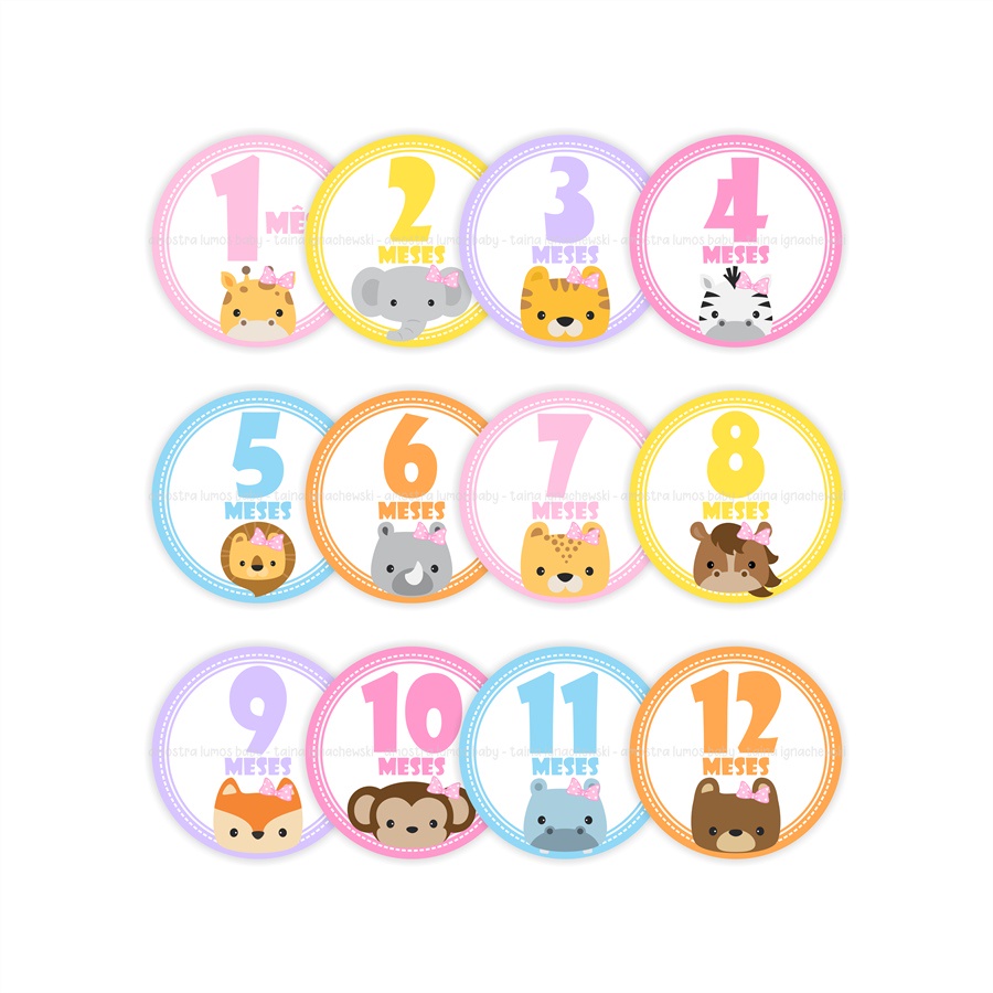 Adesivos Mesversário 1-12 Meses - Safari Menina