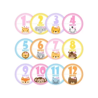 Adesivos Mesversário 1-12 Meses - Safari Menina