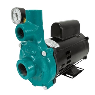 BOMBA INJETORA 1,0CV 60HZ BIVOLT I-110 ECI-100M