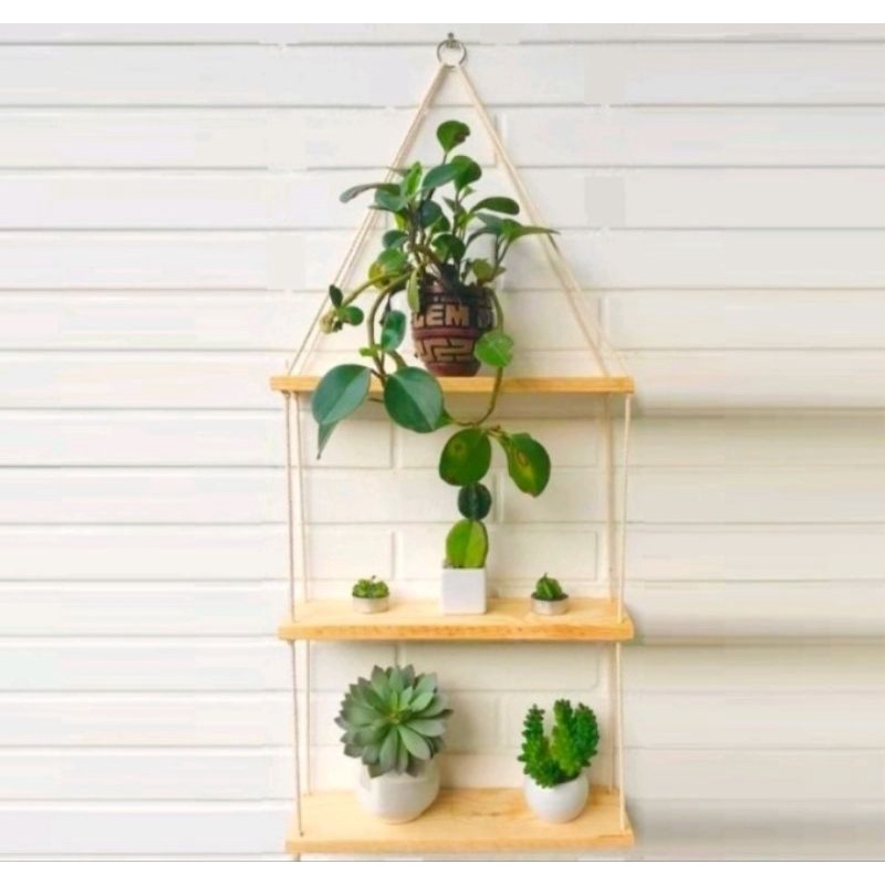 Prateleiras Madeira Decoração Suspensa Para Plantas Quarto Cozinha ...