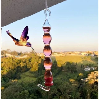 Bebedouro De Vidro Fino Luxo Para Beija Flor E Pássaros + Brinde