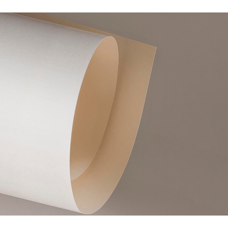 Papel Color Plus Original 180g A4 - Marfim - Creme - 10 Folhas | Shopee ...