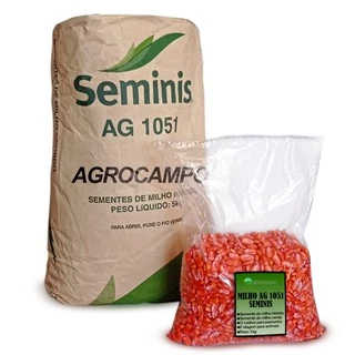 Semente De Milho 1051 Seminis Ideal Para Milho Verde 1 Kg