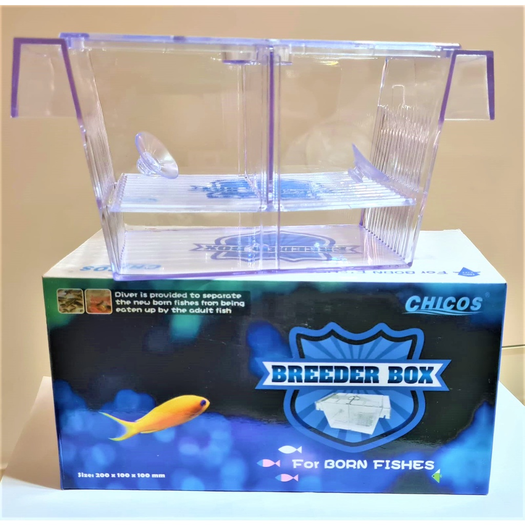 Criadeira Acrílica com Divisória Removível - tamanho: 20x10x10cm