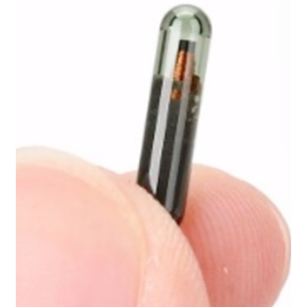 Chip Volkswagen T42 id48 Virgem