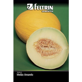 Sementes de Melão Amarelo - Feltrin | Shopee Brasil