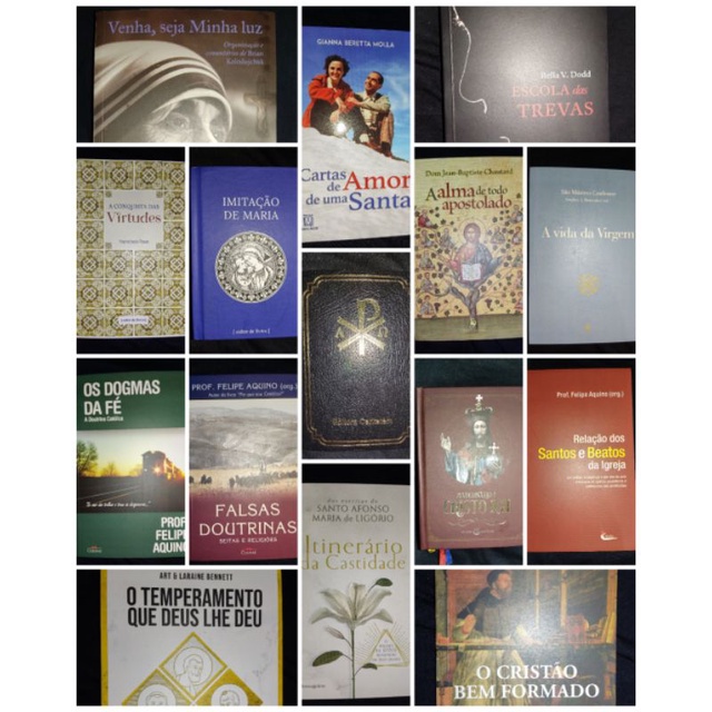 15 livros católicos variados (novos) | Shopee Brasil