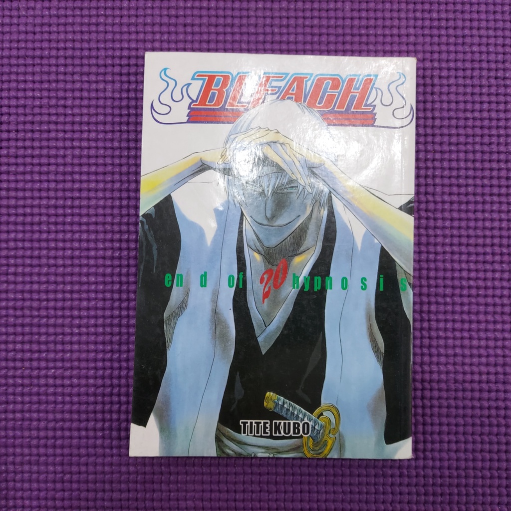 BLEACH Manga Volume 25