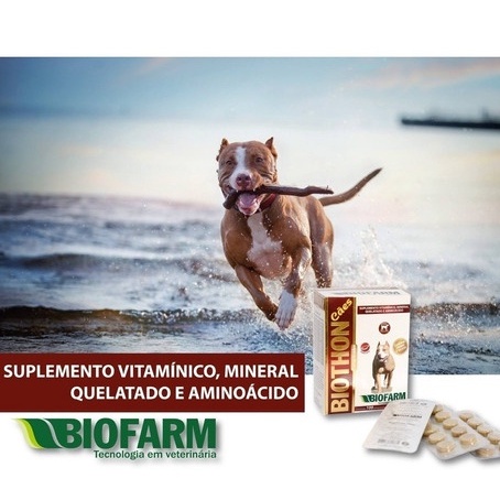 Biothon Cães Suplemento Vitaminico Vitamina para Cachorro 10 ...