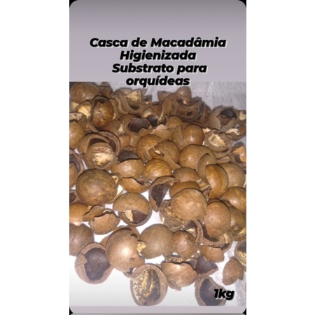 Substrato Casca de Macadâmia Higienizadas 1kg