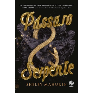 Passaro E Serpente - Vol 1 - Galera