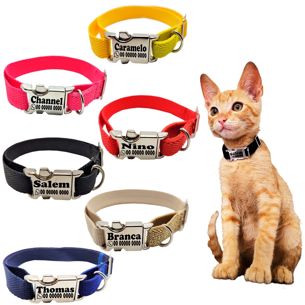 Coleira Anti enforcamento Personalizada Gato Mini Raças Identificação Nome Telefone Gravado Laser Cores Fecho Metal Luxo