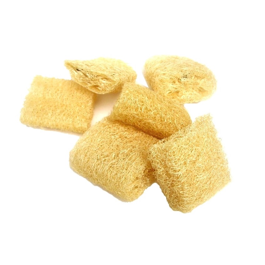 Combo 04 Esponja Bucha Natural Vegetal 100% Ecológica | Shopee Brasil