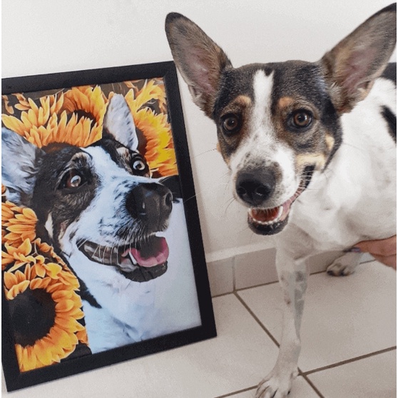 Placa Cachorro 25x20cm Não Faça da Nossa Calçada o Banheiro