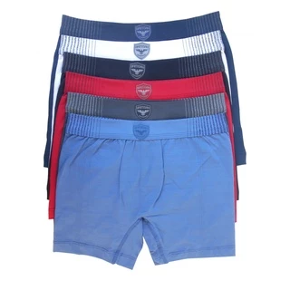 Cueca Boxer Sem Costura Bressan Microfibra Brasão Kit Com 6