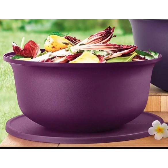 TUPPERWARE TIGELA ALOHA 4L | Shopee Brasil