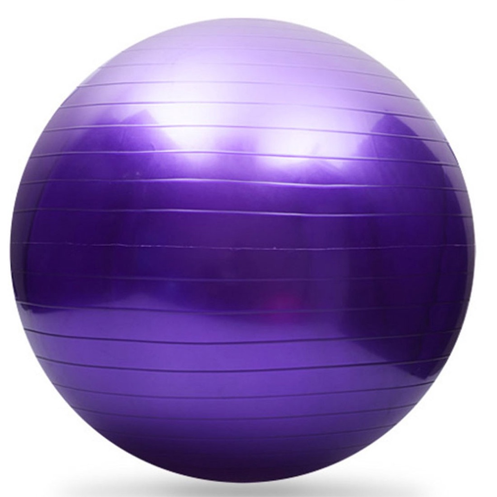 Bola Fitball AX Esportes 55cm Roxa | Shopee Brasil