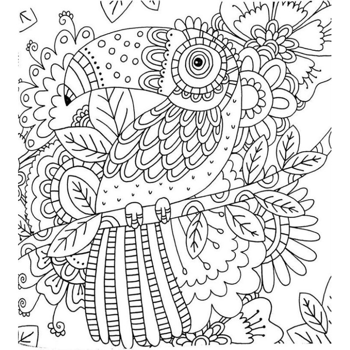 100 Desenhos para colorir Pintar para adulto, Lindos Desenhos para Relaxar  100 Folhas A5