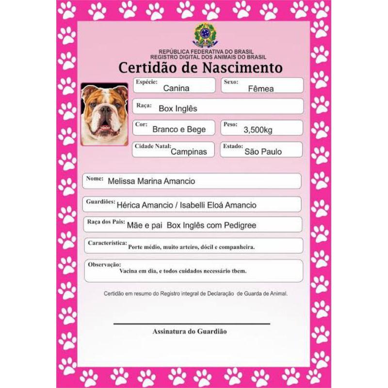 Certidão De Nascimento Pet - Arte Digital | Shopee Brasil