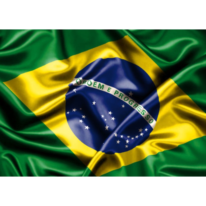 A Bandeira do Brasil constitui a bandeira nacional da República