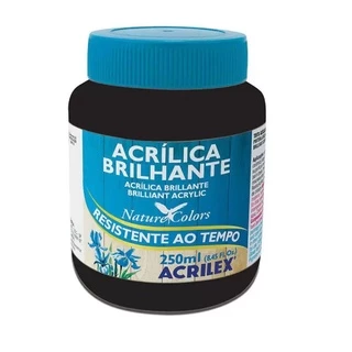 Tinta Acrilica Brilhante Preta 250ml - Acrilex