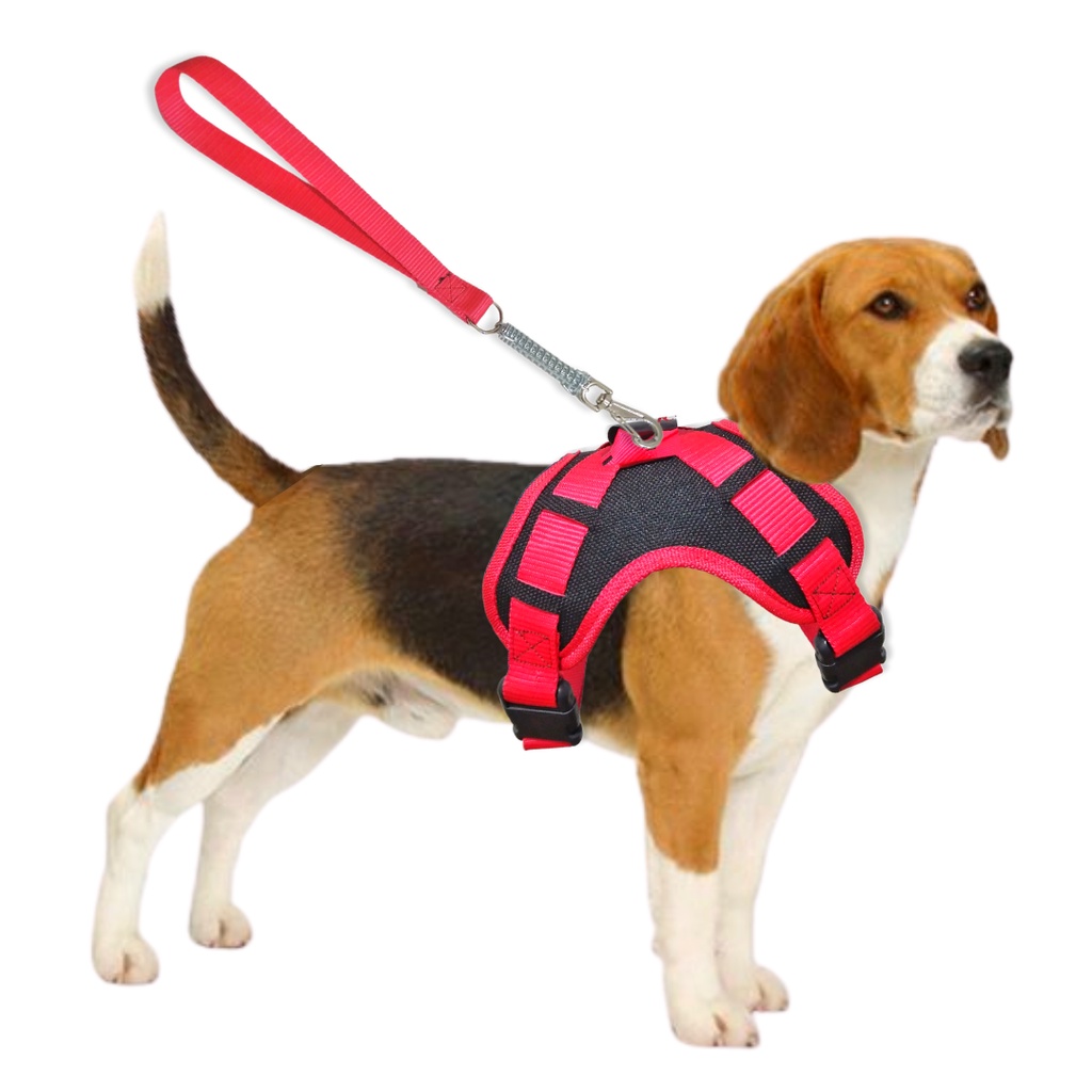 Peitoral Para Cachorros Coleira Portes Grandes