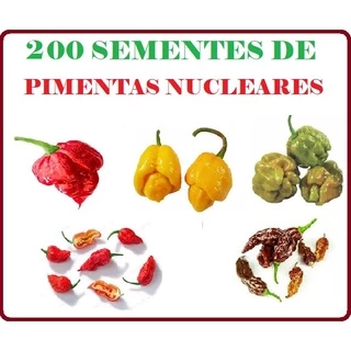 200 Sementes de Pimentas Nucleares - 5 Espécies