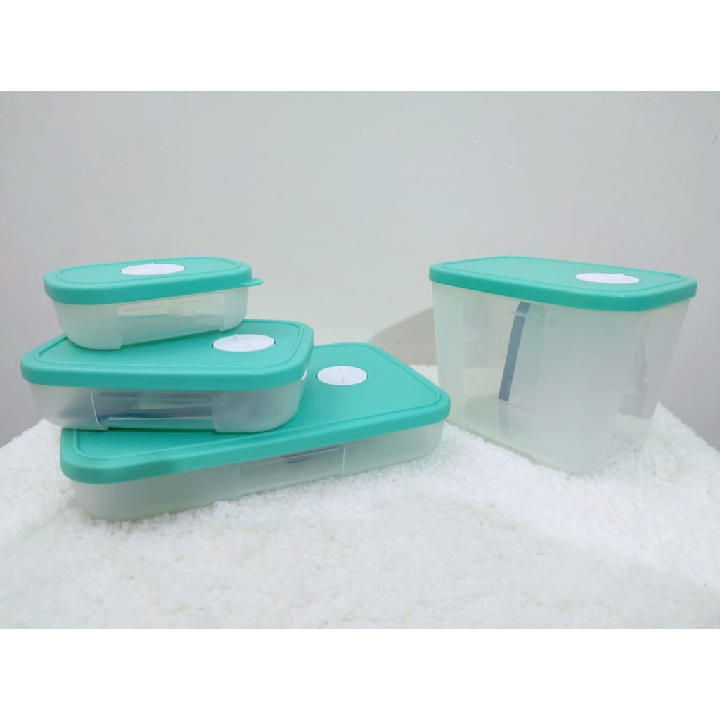 Potes Tupperware para freezer, Freezertime | Shopee Brasil