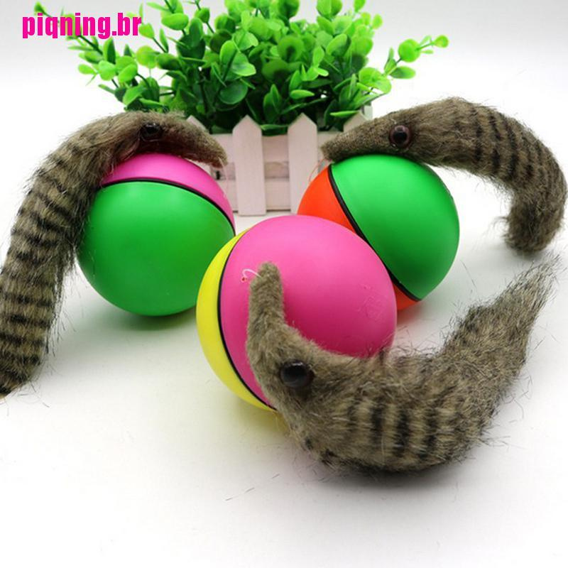 Ferret ball hot sale toy